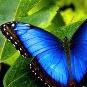 Meet your Posher, Katrina